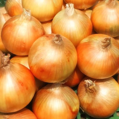 westhill0204's profile picture. 【いいね・フォロー希望】53歳のおじさんです。共感して頂ける方はいいね・フォローお願いします。 主に #野球、#サッカー、#スポーツ、#寺、#神社、#御朱印、#城、#御城印、#グルメ、#鉄道、#電車、#乗り鉄、#観光、#ドラマ、#映画、#ネット配信 を中心に呟いてます。#Instagram 『玉ねぎおじさん』で検索🔎