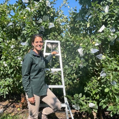 Michigan State Extension Tree Fruit Educator 🍒 🍎 🍑 🍐 @MSUExtension horticulturist Purdue grad 🌱 🧬 Penn State grad 🍓 🍏