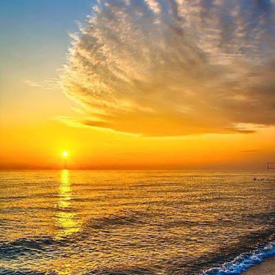 xandeGuanaes's profile picture. 