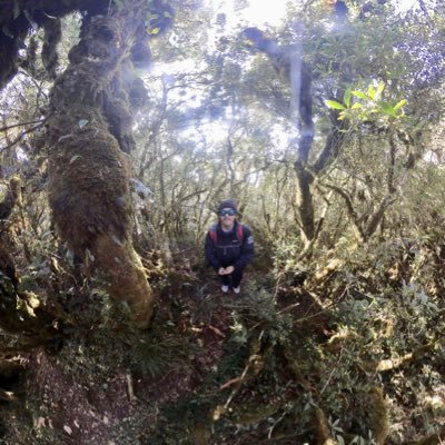 Kimcedrix_'s profile picture. cool & calm