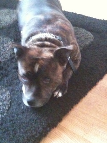 tj_tinks's profile picture. 