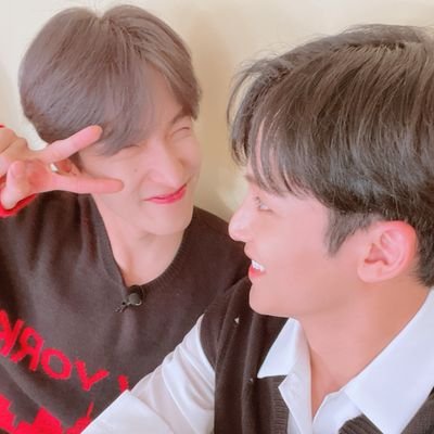 Sei met SVT ꕤ // inactive Profile