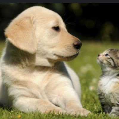 jota425col's profile picture. 