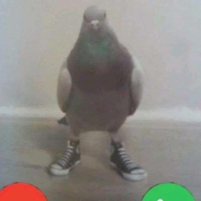 Munky2783's profile picture. I have not brain cell