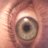 HarrisonAlison's profile image