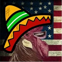 crossinbean(@crossinmexican) 's Twitter Profileg