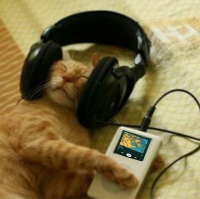 anak_papa1's profile picture. 