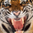 TigerAnn3's profile image