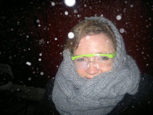 SigfridSiggie's profile picture. 