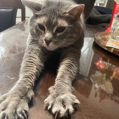 bekahma's profile picture. 21