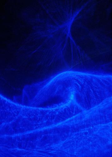 OndoreBlue's profile picture. Estrategias basadas en data-mining: influencia, sentimiento, reputación, inteligencia, KOLs, redes sociales POWERED BY OndoreSocialSuite