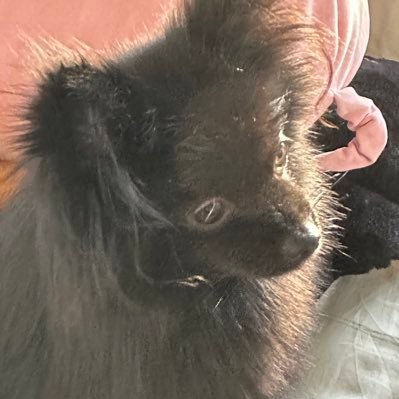 carrtttssss's profile picture. 