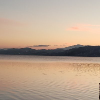 thisisGulcin's profile picture. 