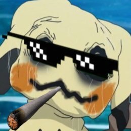 17 already a MLG prodigy. My brain cells may be in short supply, but my BONG RIPS are off the charts! ShakeyAim on his mrrp till he meow @Shakyaimers