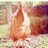 ch_tuit's profile image