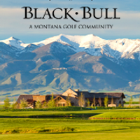 Black Bull (@blackbullgolf) 's Twitter Profile