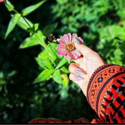 ♡☆ شب بود،و هوای کربلا عالی بود!!!!!!
در مصرع قبل جای ماخالی _____ ☆♡ بود!!!!!
فالو =فالو
بک=بک