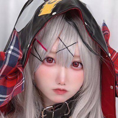 gohou4inu Profile Picture