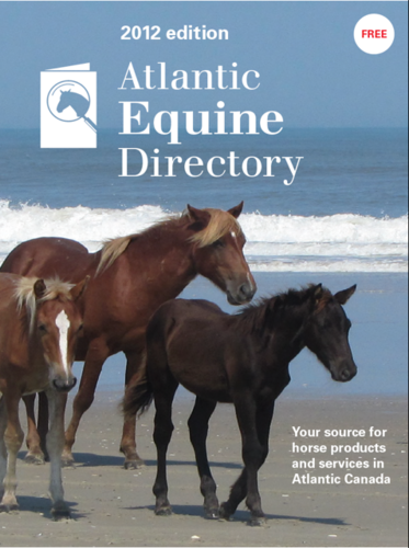 A vital source of current information on events, clubs, sales, organizations and a vast marketplace for Atlantic based equine goods and services.