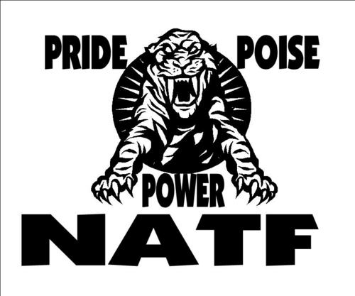 natigerstrack's profile picture. North Allegheny Cross Country & Track Head Coach