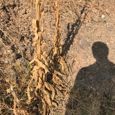 1keithblunt's profile picture. Anarchist.