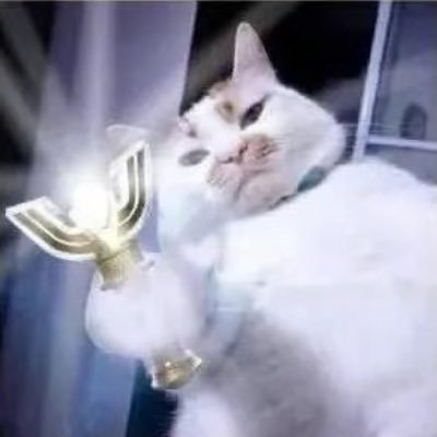 yang28793's profile picture. 