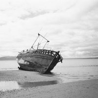 BESTofBUTE (@bestofbute) 's Twitter Profile Photo BESTofBUTE (@bestofbute) 's Twitter Profile Photo