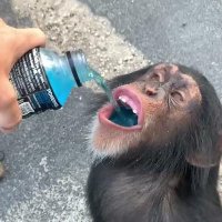 Flofyy (@flofyyboy) 's Twitter Profile