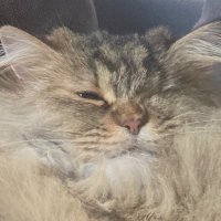 jonny (@sensiblehuman96) 's Twitter Profile Photo jonny (@sensiblehuman96) 's Twitter Profile Photo