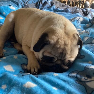 Richofnt's profile picture. | $200 earnt | @gizzboc