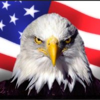 WhiskeyTangoFoxtrot (@trotwhiskey) 's Twitter Profile