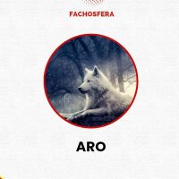Aro 🇪🇦(@ElAroDeAro) 's Twitter Profileg