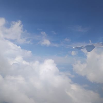 WNing1220's profile picture. 