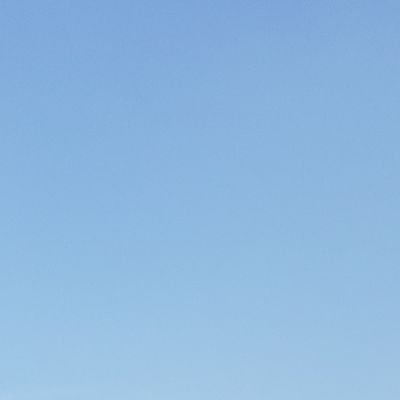 2sWzOAYf1p17721's profile picture. 