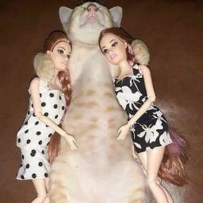 oPEwhIMws611520's profile picture. 