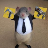 Asia Runte (@asiarunte40246) Twitter profile photo