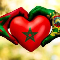 سعاد 🇲🇦مغربية وافتخر🇲🇦❤❤🇲🇦الخاص ممنوع⛔(@souadsouad22) 's Twitter Profile Photo