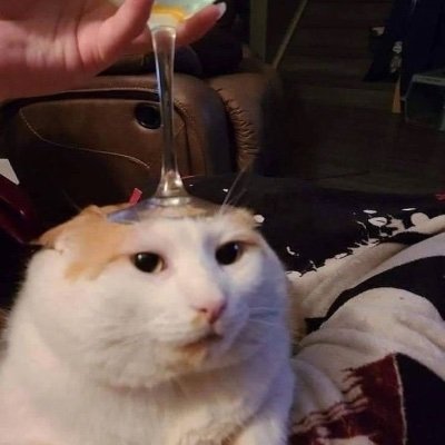 bigleggies_'s profile picture. 