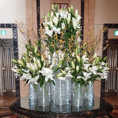 めぐみ (@megumimegumi08) / Posts / X