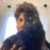 איתמר קציר (@itamarkatzir) Twitter profile photo איתמר קציר (@itamarkatzir) Twitter profile photo