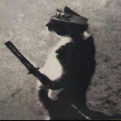 br_nextage's profile picture. 🇧🇷