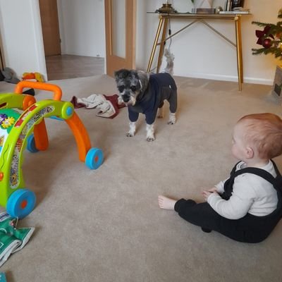 graemeh190512's profile picture. Heart of Midlothian FC, horse racing enthusiast, fan of 70's/80's heavy rock music