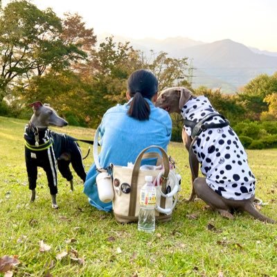 2024.8.19 長女出産/神奈川在住(27)/🐶ワイマ,イタグレ🐰ロップイヤー🐹フェレット/無言フォロー大歓迎&失礼します🙏🏻宜しくお願いします🙇🏻♀️