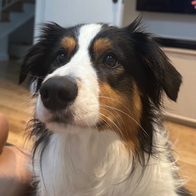 stringbeans89's profile picture. 