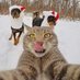 Tigerthecate ₿ (@tigerthecateee) Twitter profile photo Tigerthecate ₿ (@tigerthecateee) Twitter profile photo