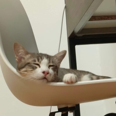 aem_anutida's profile picture. 