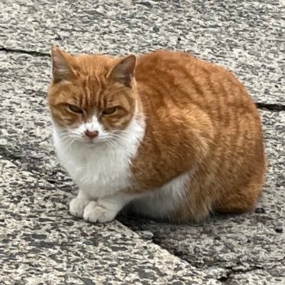 YbbXejbNy8dt545's profile picture. 