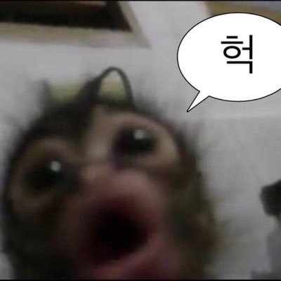 axesous's profile picture. 그냥 구독계에요ㅠㅠㅠㅠㅠㅠ😭😭