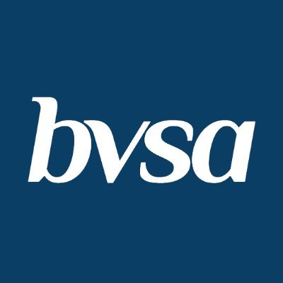 bvsagroup's profile picture. Registered Accountants & Financial Services.