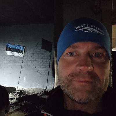 TarmoUiboupin's profile picture. 